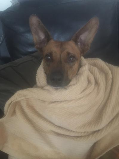 Happy, Healthy Hudson