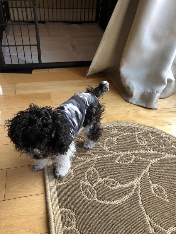 SUITICAL Recovery Suit for Cats, Black Camo, XXSmall