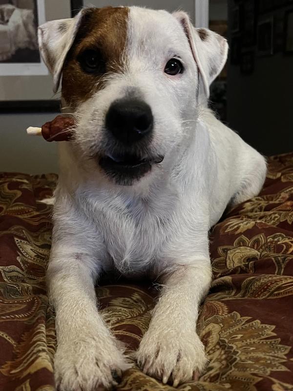 Simon without itching!