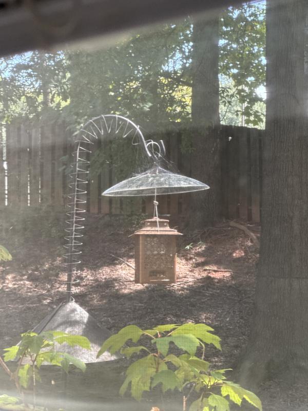 Corounne Co. Mosaic Bird Glass Baffle Weather Dome - clear green