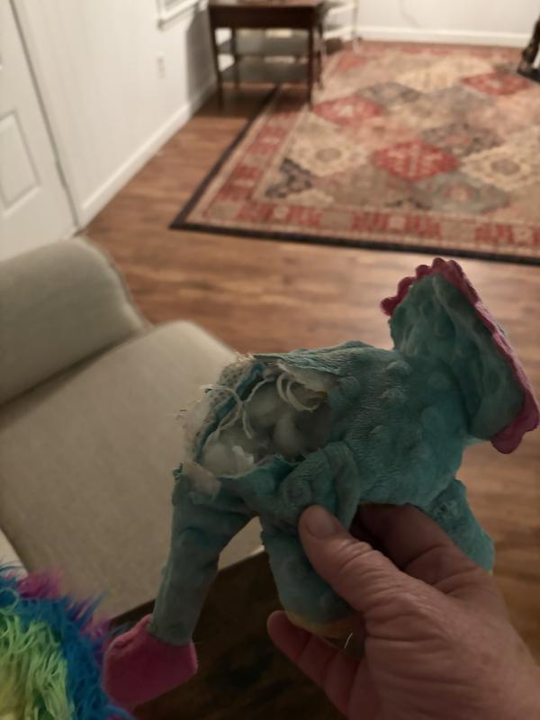 Not sure how much pup digested