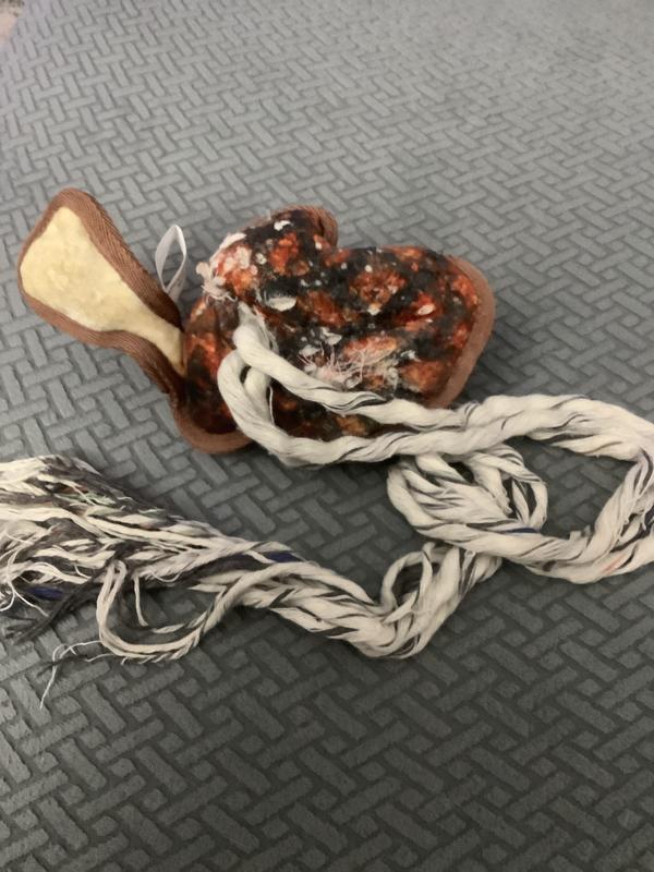 The toy later that day after several repairs.