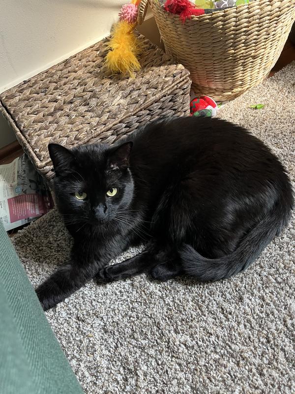 Handsome soft boy