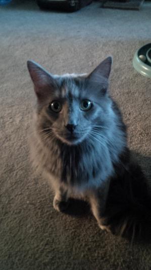 Smokey being to cute