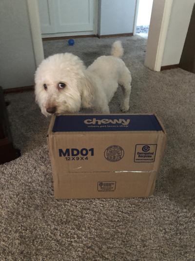 I love Chewy Delivery!