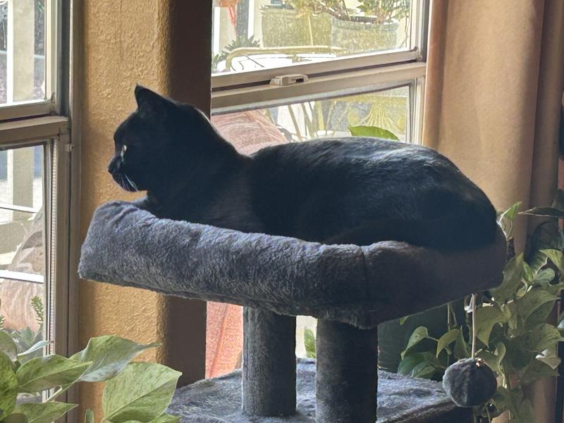 Just hanging by the window.