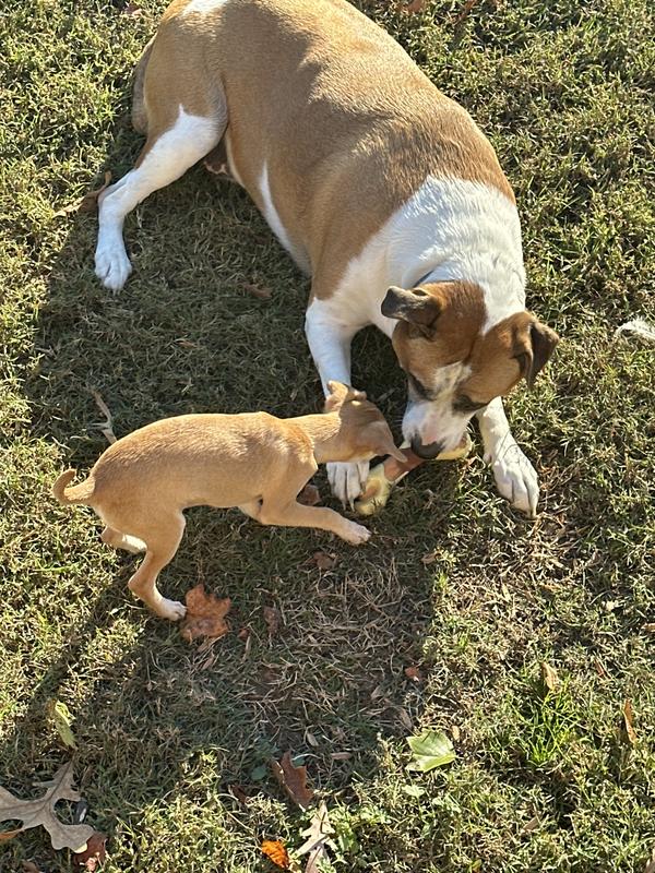 Nothing better than sharing the love 🥰