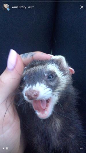 happy Mia!