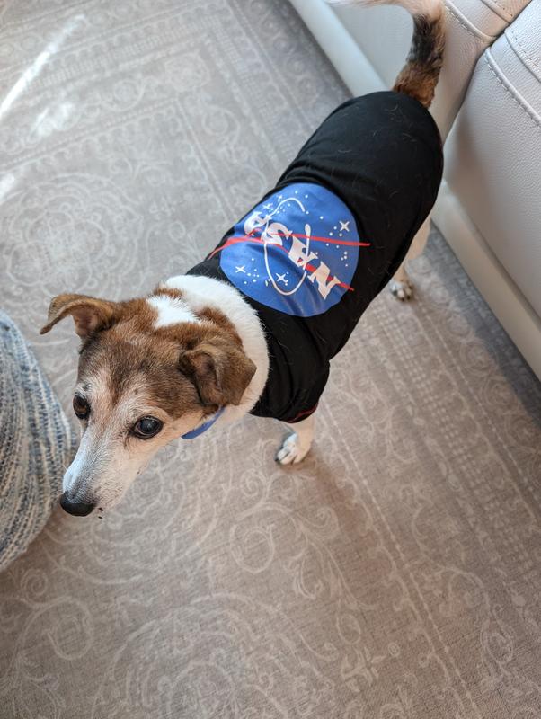 Cutie space dog