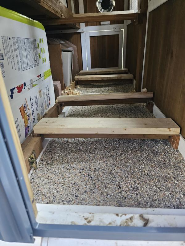 Expanded roosting bars and put sand in interior