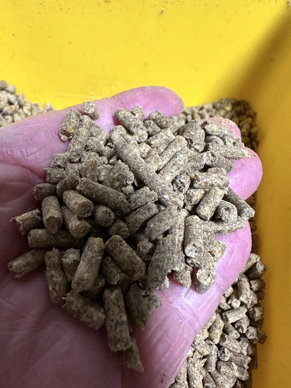 mostly pellets, not a lot of powder