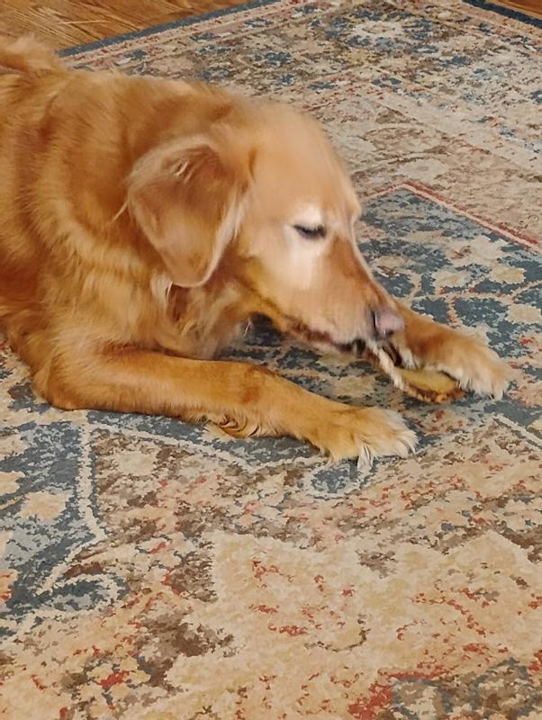 Product too thin to safely chew! (taken from dog after only one minute)