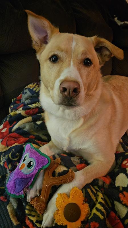 Just wanted to show what he does to other toys!