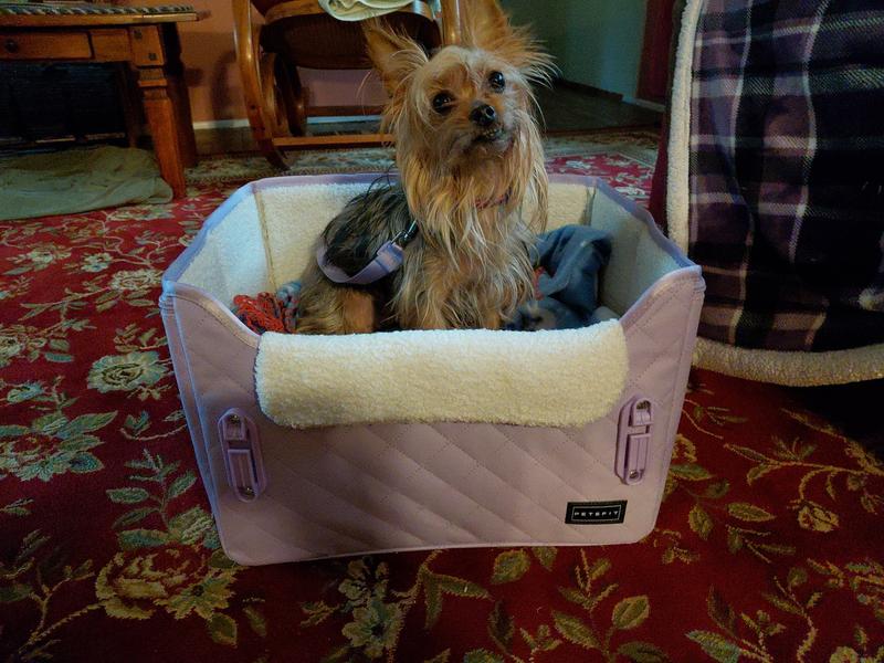 Maggie May doing a test drive