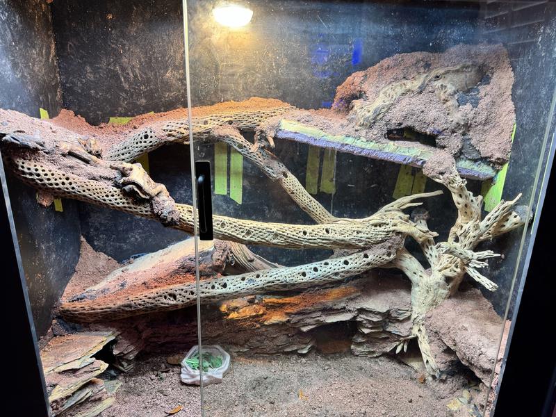 This was after spending hours putting it on the walls that it all crumbled back off