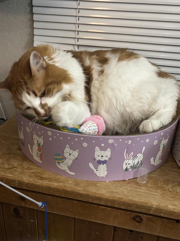 Koda enjoys these toys as well!