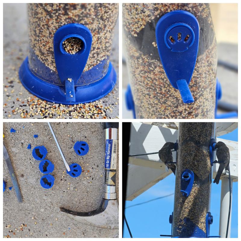 Finch Blend seed requires thistle insert modification