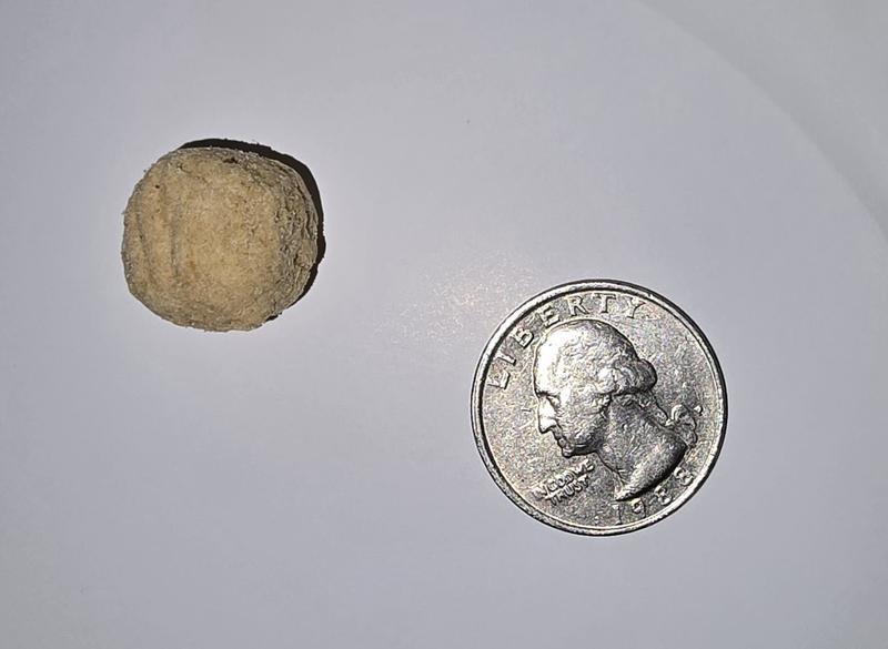 Smaller than a US Quarter