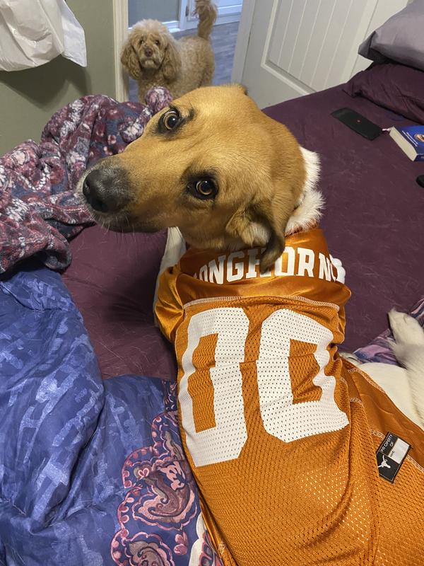 PETS FIRST NCAA Dog & Cat Jersey, Texas Longhorns, Small PETS FIRST NCAA Dog & Cat Jersey, Texas Longhorns, Small