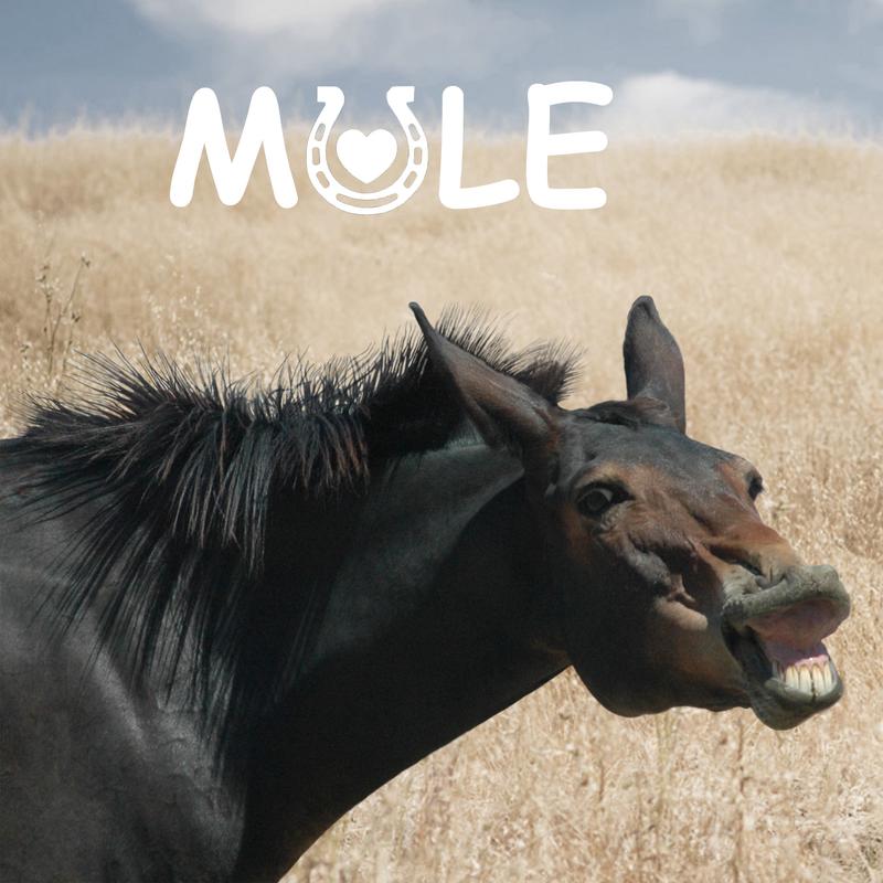 This is her dewormer face!