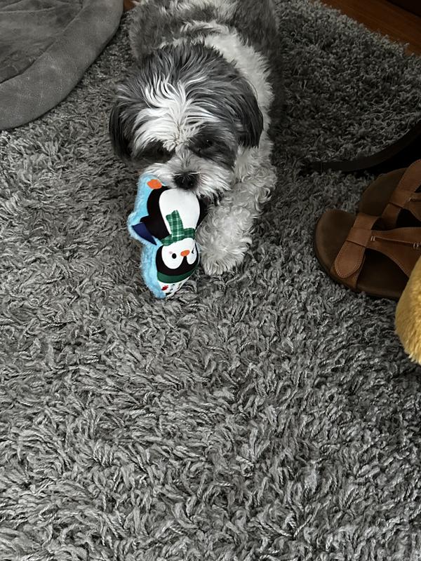 Ronnie carries it around the house