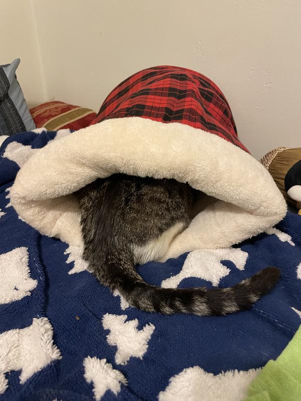 It’s good to keep your head warm.