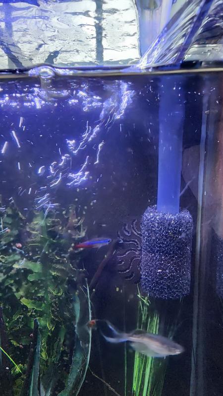 Water flows through nicely