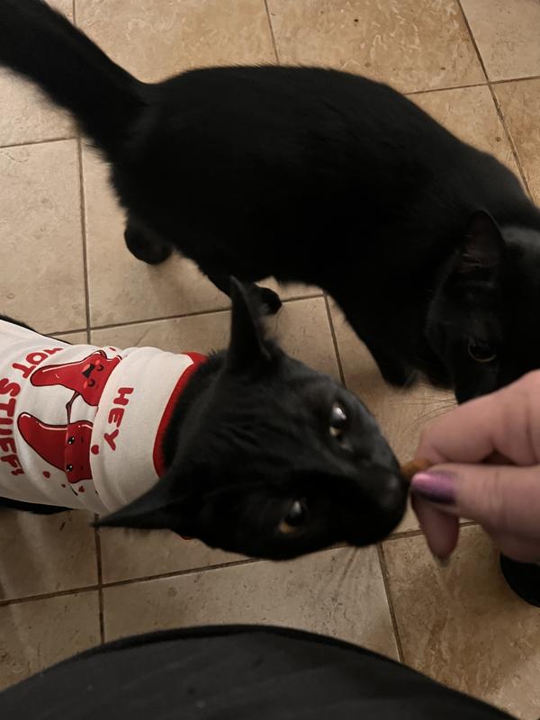 Tiny wore it under protest