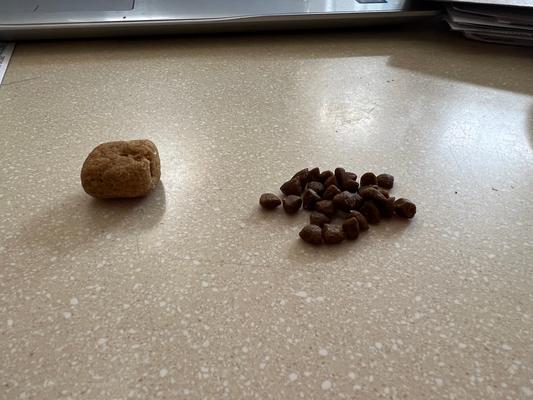 Single Dental kibble next to current "small bites" food