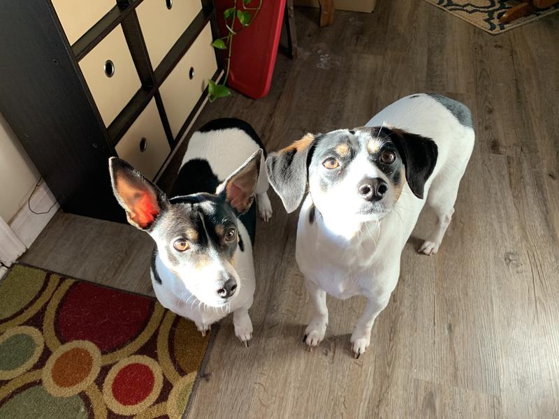 You’re going to do WHAT???