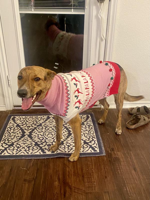 XL is great fit for 50 lb long/lean dog