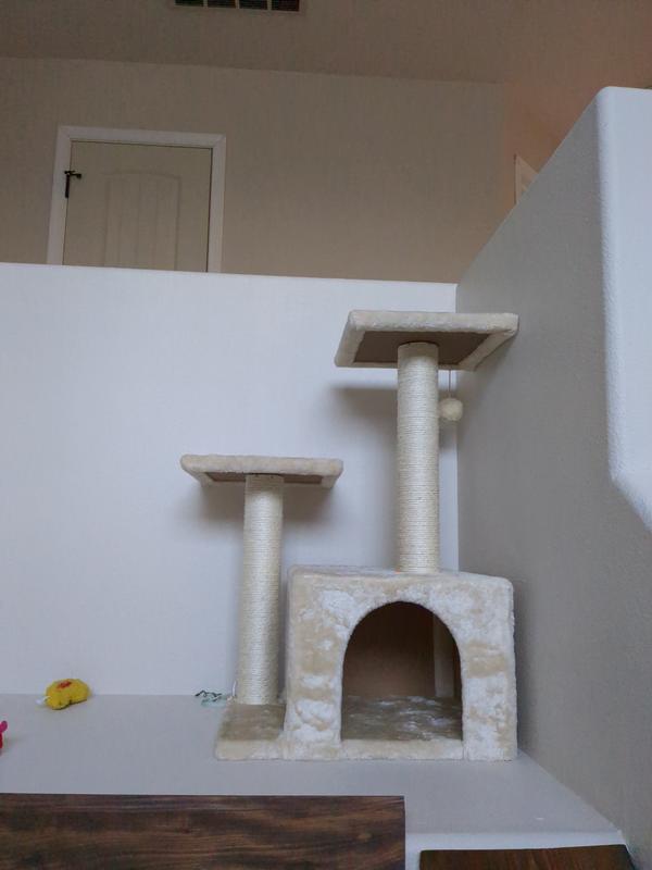 Cat tower against a 3ft wall.