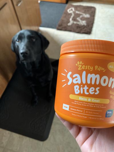 Zesty paws clearance salmon bites