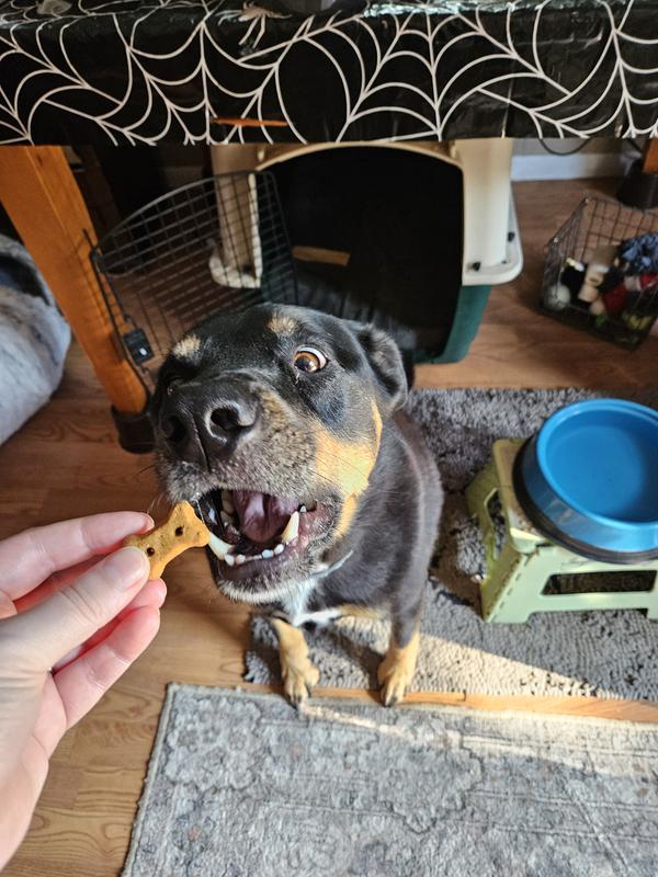 Getting a gluten free treat!