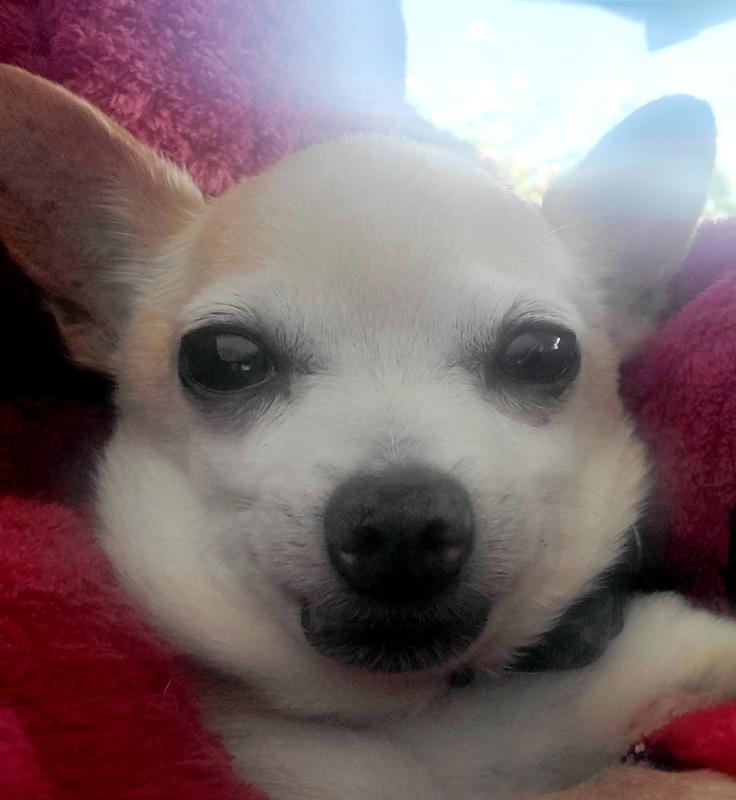 Feeling so much better! Thank you! ❤️