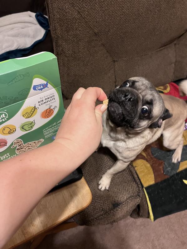 My young boy eating as a treat.