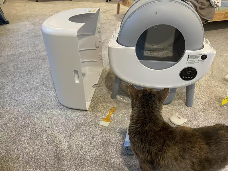 Curious girl passing by