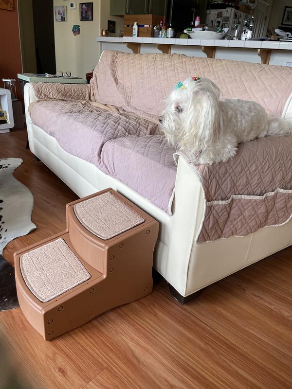 Pet Gear Easy Step II Pet Step In Chocolate