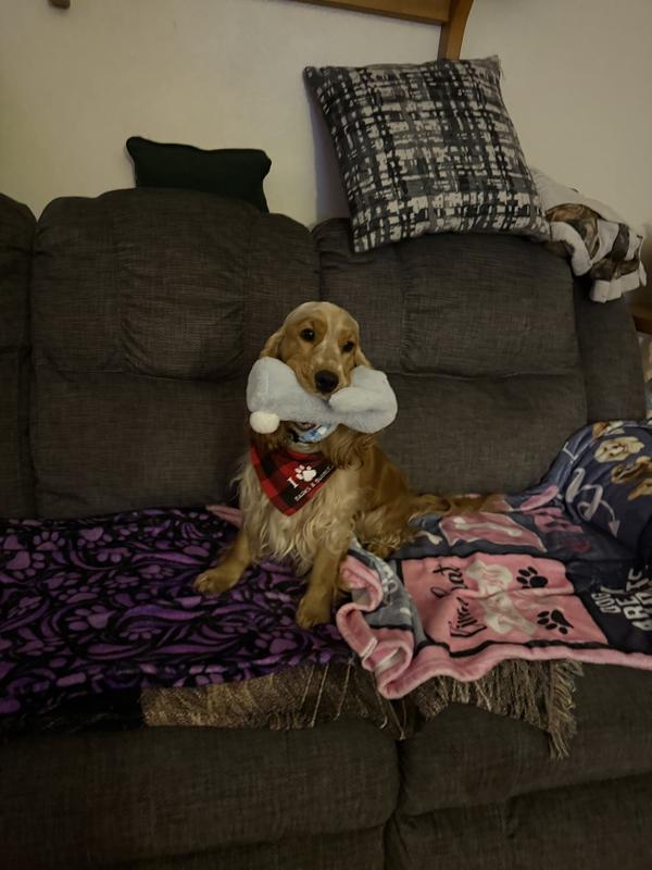 Well made assortment!