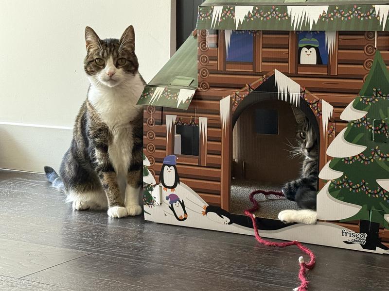 Right before an attack to claim the house