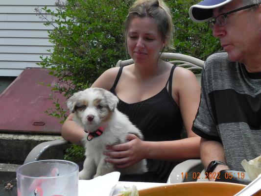 Also new is Roonie an Aussi