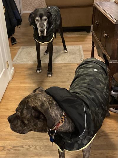 GF Pet Recycled Parka - 3XL - Camouflage