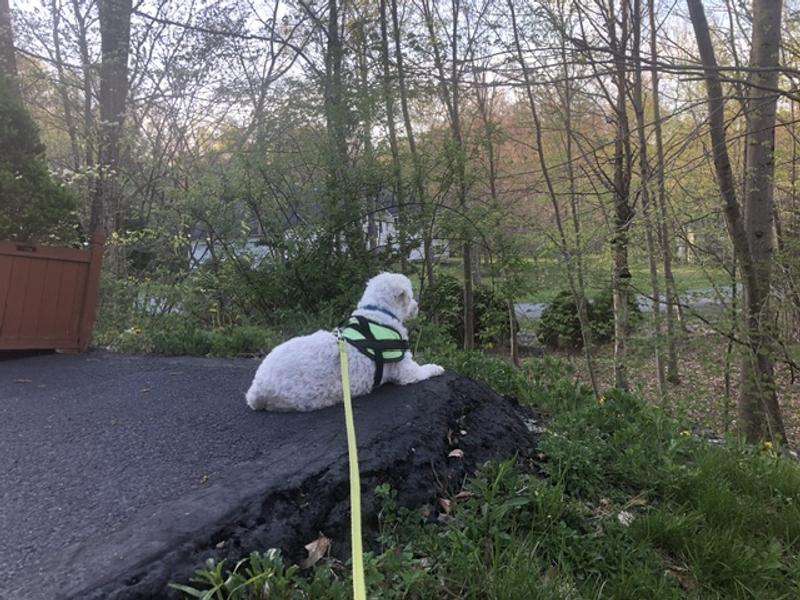 Waiting for my results!