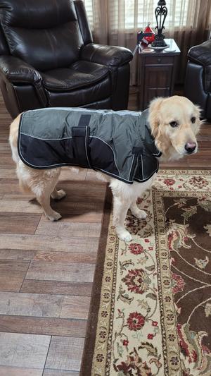 Not really thrilled.