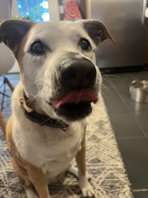 The food is so yummy!