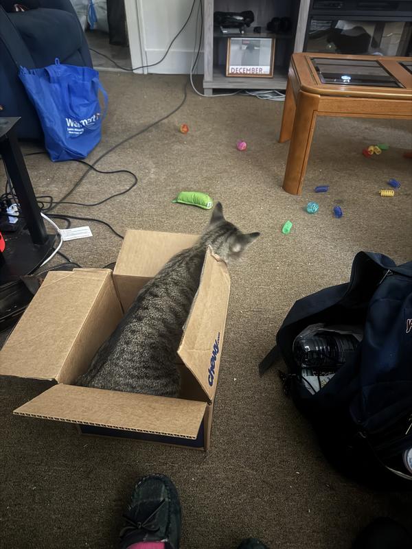 Excited over new toys