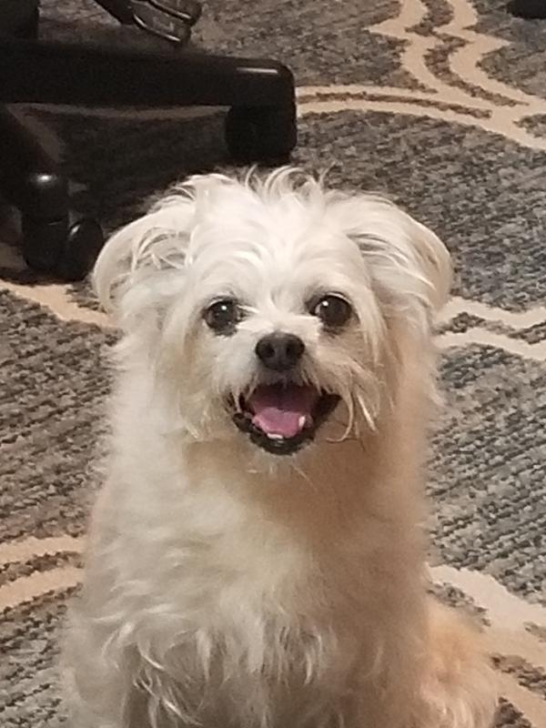 Messy gives thanks and sends a smile.