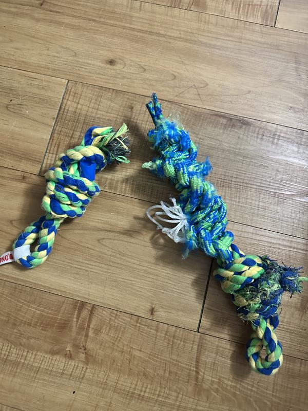 KONG Rope Bunji Dog Toy, Large - Chewy.com