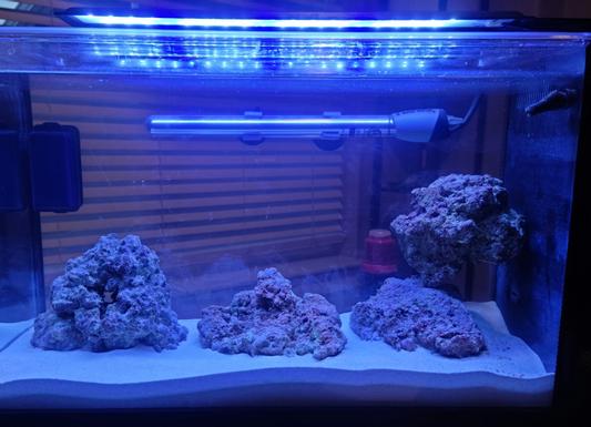 Fluval fish hotsell tank heater