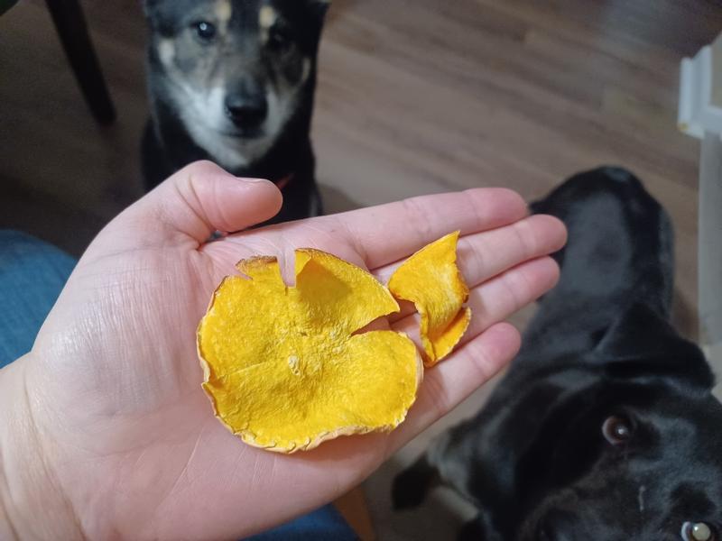 A big piece and a small piece.